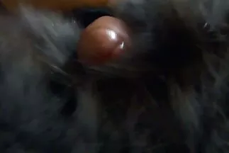 زوجان في حالة حب يمارسان صور شكس عربي الجنس الشرجي الجميل